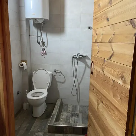 Apartment Bird Of Paradise *