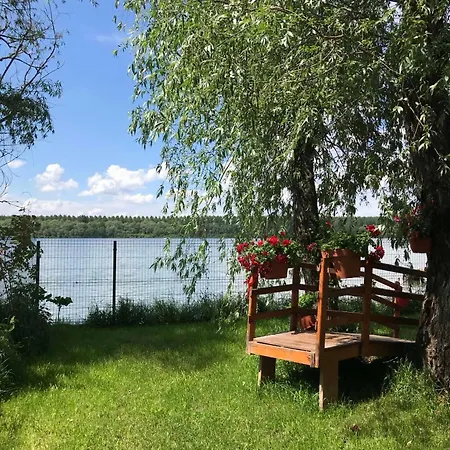 Bird Of Paradise * Belgrade