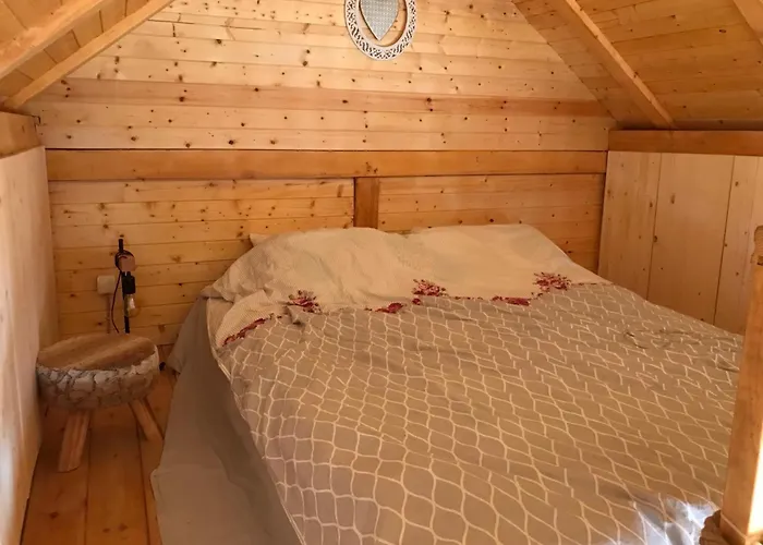 Bird Of Paradise Apartman