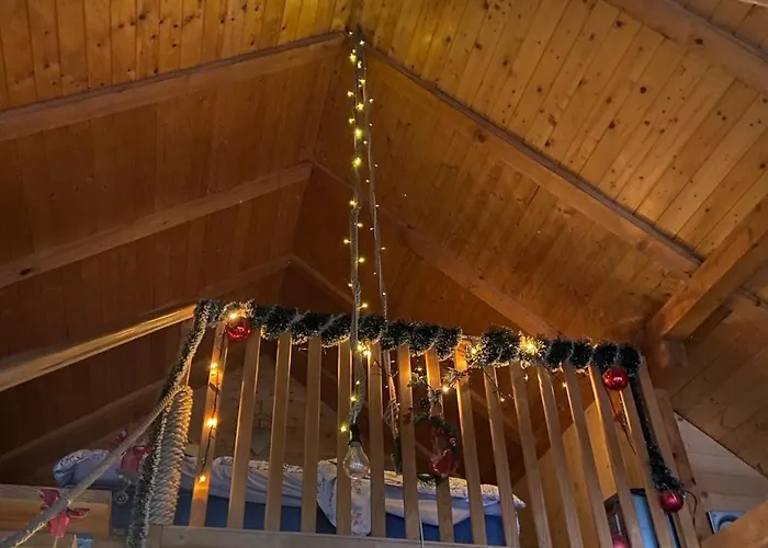 Apartment Bird Of Paradise *