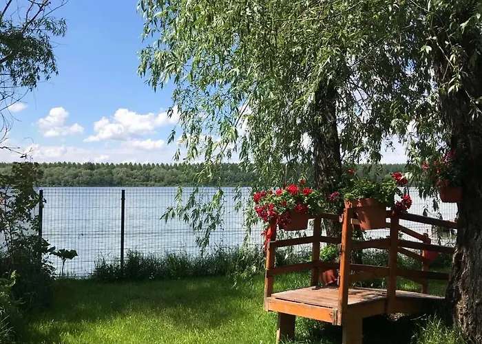 Bird Of Paradise * Belgrád